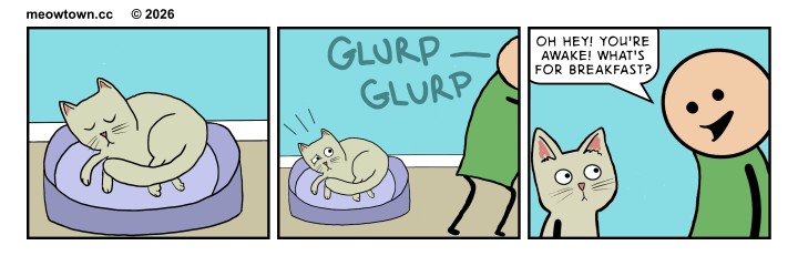 A three-panel MeowTown comic flipping the morning routine. Panel one: Tater Tot (a buff tabby cat) sleeps peacefully curled up on a purple cat bed. Panel two: Tater Tot is jolted awake, ears back and eyes wide with alarm, as the sounds 'GLURP — GLURP' issue from off-panel where a person in a green shirt stands hunched over. Panel three: The person turns around, smiling cheerfully, and asks, 'Oh hey! You're awake! What's for breakfast?' Tater Tot stares back annoyed. The joke: the standard cat-wakes-human-by-vomiting routine, with the roles reversed.