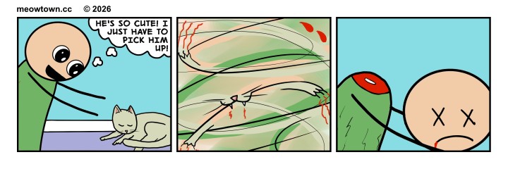 A three-panel comic about misjudging a sleeping cat. Panel one: A wide-eyed person in a green shirt sees Tater Tot (a buff tabby cat) napping and says, 'He's so cute! I just have to pick him up!' Panel two: A green, white, and buff blur of thrashing limbs, claws, and red scratch marks — the attempt going catastrophically wrong. Panel three: The person's headless body stands holding their own bloody, severed head. The joke: the gap between how cats look and how they react to being picked up.