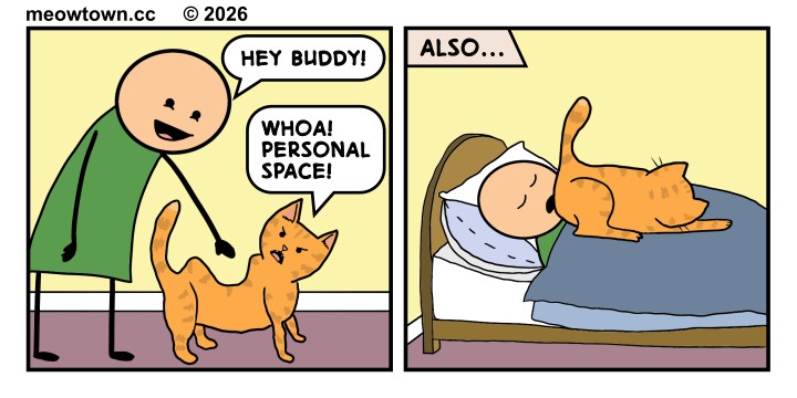A two-panel comic about feline hypocrisy. Panel one: A person in a green shirt leans down toward Cheddar (an orange tabby cat) and says 'Hey buddy!' The cat hisses back, 'Whoa! Personal space!' Panel two: Captioned 'Also...', the same person sleeps in bed while Cheddar sleeps on the person's chest with his butthole directly on the person's face. The joke: cats demand personal space they will not grant in return.